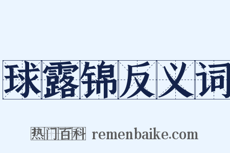 球露锦反义词是什么意思的图片